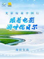 女生的逼逼视频